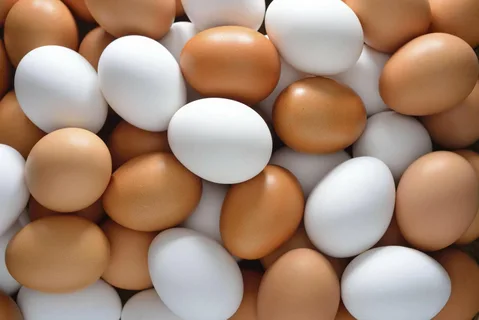 تصویر 1 از قیمت خرید تخم مرغ محلی عمده با فروش ویژه